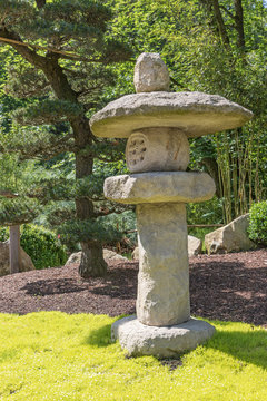 Japanese stone lamp with the pine tree in the background. Vertically