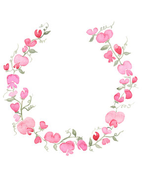 Sweetpea flower watercolour wreath - handpainted pink watercolour wreath of pretty pink sweetpeas and their leaves and climbing shoots
