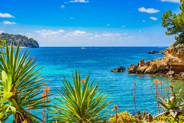 Idyllic view to Mediterranean Sea Landscape Seaside of Majorca Spain
