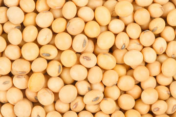Top view of healthy grains soybean close up