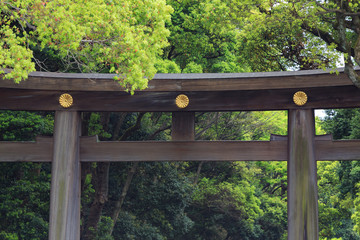 明治神宮 南参道鳥居 -東京の貴重な緑の杜-