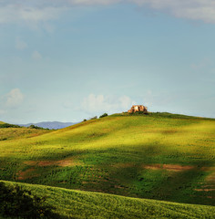 Tuscany - Landscape panorama, Toscana - Italy