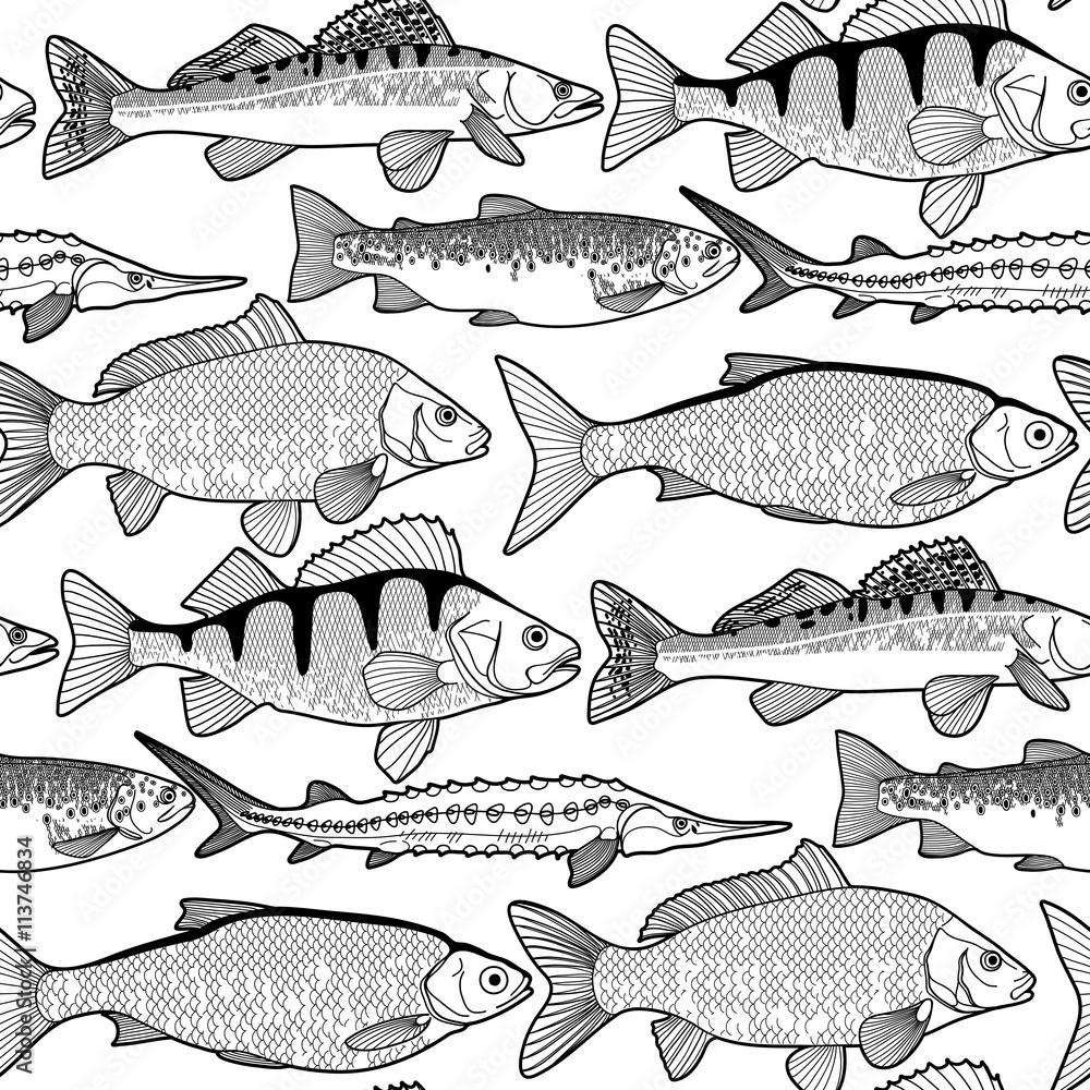 Wall mural graphic freshwater fish pattern