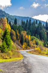 Naklejka premium mountain road near forest