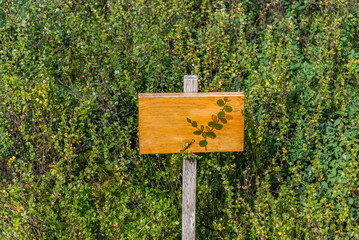Garden plant sign post text here holder board