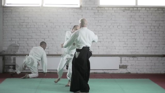 athletes in a kimono demonstrating martial arts techniques. martial arts