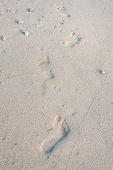 Fototapeta na wymiar Human footprints on beach sand