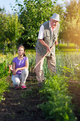 Grandfather with his granddaughter in the vegetable garden