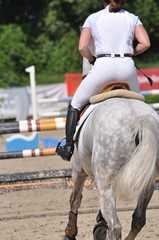 Auf dem Turnierplatz reiten zwischen den Hürden beim Sprinreitturnier, Pferd und Reiter im Detail