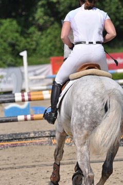 Auf dem Turnierplatz reiten zwischen den H&uuml;rden beim Sprinreitturnier, Pferd und Reiter im Detail