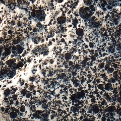 Porous rock texture. Magma background. Aged photo. Black and white foamypumice. Toned photo. Foamy stone texture. Closeup shot of lava stone. Walking Lycian Way, Turkey.
