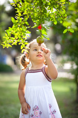Little girl in the garden looking at the pomegranate fruit and wants to eat