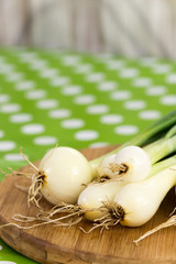 Closeup macro young fresh onions