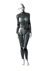 Obraz premium Female Robot