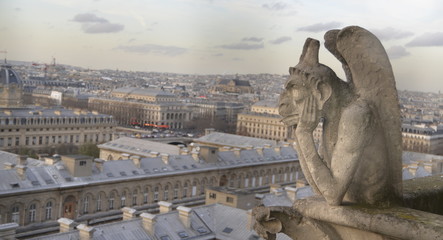 QUIMERAS Y GARGOLAS DE NOTRE DAME
