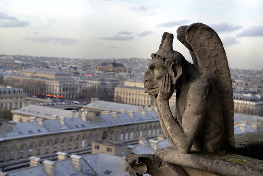 GARGOLAS DE NOTRE DAME