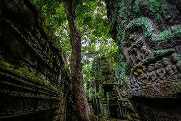 statue Bayon Temple Angkor Thom, Cambodia. Ancient Khmer architecture.