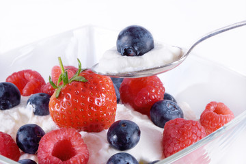 Früchte mit Joghurt Himbeere Heidelbeere Erdbeere