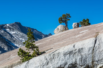 Granite Olmsted Point at Tioga Road
