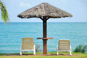 The Beach with Coconut Tree, Thailand beach, Phuket, Pattaya, Hua Hin, Krabi.