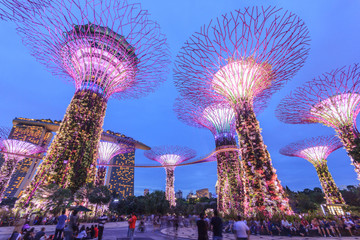 Singapore, Gardens By The Bay, Super Tree Grove