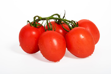 Tomato isolated on white