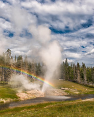 Riverside Geyser creates a rainbow as it erupts during the late afternoon in Yellowstone National Park, Wyoming
