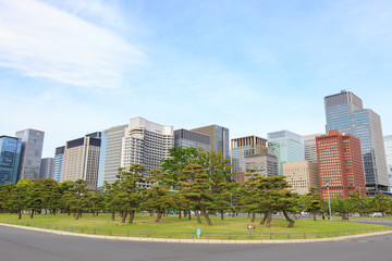 Obraz premium 東京丸の内 ビル群 -都市風景-