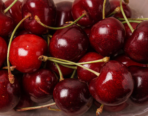 Fresh red organic Cherry, cherries