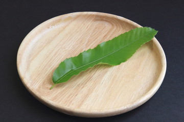 くぬぎの葉の下敷き