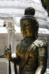 Fototapeta na wymiar Buddhastatue in einem Tempel auf Sri Lanka