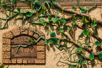 wall covered with grapes vine