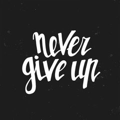 Fototapeta na wymiar Never give up. Hand drawn typography poster.