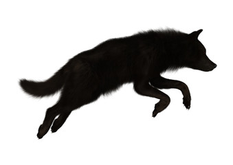 3D Rendering Black Wolf on White