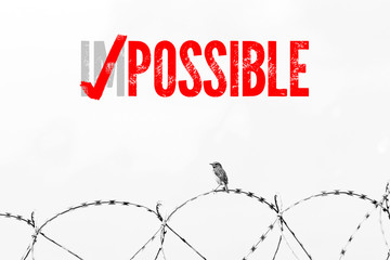 ImPossible Motivation erledigt, Vogel auf Stacheldraht