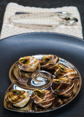 Prepared snails with garlic and parsley in black plate