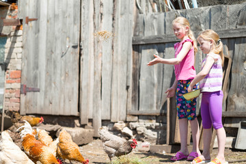 children fed chickens grain on the farm