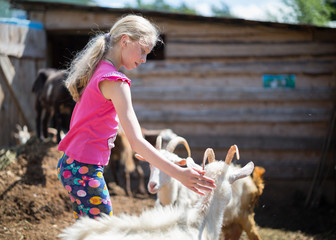 children playing with a goat at farm