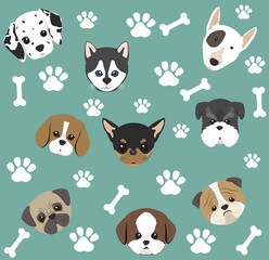 pet shop design, vector illustration eps10 graphic 
