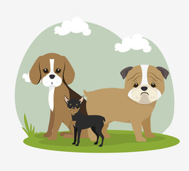 cute dog design, vector illustration eps10 graphic 