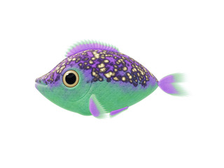 purple green fish