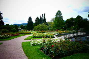 Fototapeta premium Rosengarten