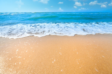 Beautiful Summer day on the Sea Beach