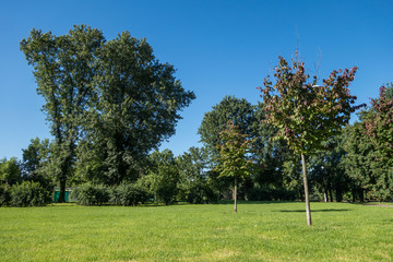 Scorcio di un parco cittadino