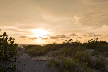 Obraz premium Florida coast sunset