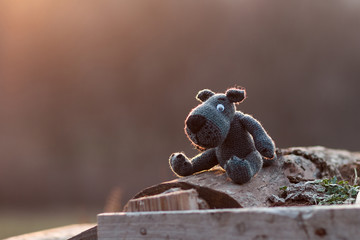 Knitted gray wolf. Related gentle female hands wolf will always delight you with its views.
