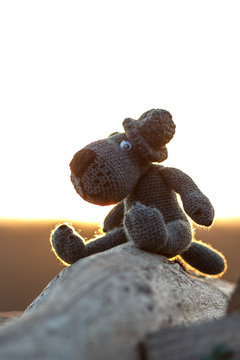 Knitted gray wolf. Related gentle female hands wolf will always delight you with its views.
