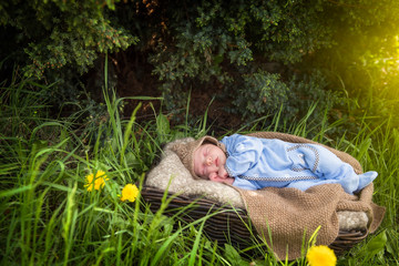 a newborn baby sleeps in the garden © irena_geo