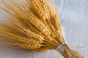 Spikes of wheat on burlap 