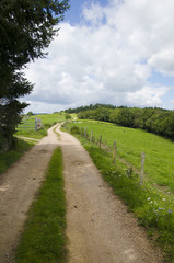 Fototapeta na wymiar Sentier et campagne de la Loire (Rhône-Alpes)